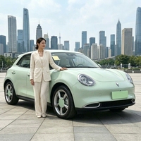 Voiture électrique ORA Good Cat 2025 d'occasion, autonomie 401 km, compacte, conduite à gauche