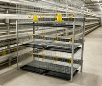 Cage à poulets à 4 étages et 2 portes, capacité 80 oiseaux, avec système de bac à fumier