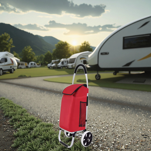 Mua sắm nhôm hợp kim đẩy xe với bánh xe siêu thị mua sắm Trọng lượng nhẹ gấp túi xách tay - Product Image 4