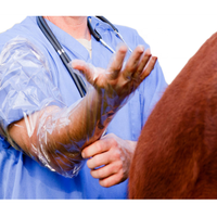 Gants d'insémination extra longs de 92 cm en PE avec bande élastique pour l'examen des bovins, des porcs et des moutons en élevage