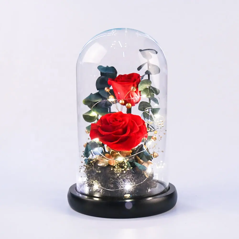 प्रेमिका उपहार शादी की सालगिरह में सौंदर्य और <span class=keywords><strong>जानवर</strong></span> गुलाब एलईडी प्रकाश ग्लास संरक्षित लाल गुलाब हमेशा के लिए उपहार