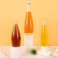 Fabrikant 250Ml 330Ml 500Ml Mousserende Water Ijswijn Fruit Wijnsap Glazen Flessen