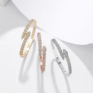 2024 vendita calda di gioielli femminili popolari unici con coda di serpente a diamante e rosa bracciale in oro