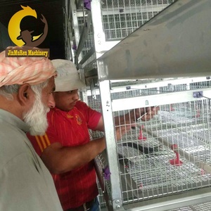 Jinmuren gabbia del pollame pollo agricoltura che fa la macchina per 1 giorno vecchio pulcini - Product Image 2