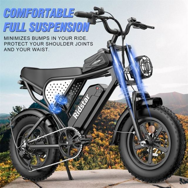 Eu Warehouse Ridstar Q16 16" Mini Fat Tire Electric Bike 1000W 48V E Bike Electric Hybrid City Mountain Dirt Sports Bike Adults