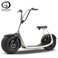 Scooters Gaea 60v, moto à essence, scooters électriques auto-équilibrés, scooter à deux roues pour adultes