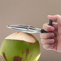 Ouvre-noix de coco manuel en acier inoxydable avec poignée en caoutchouc et outils d'ouverture de noix de coco