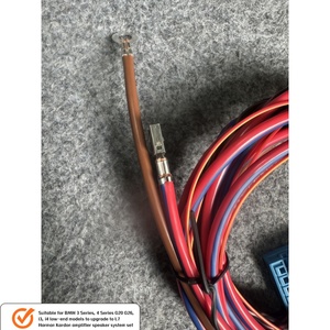 I4 I3 G20สำหรับ BMW <span class=keywords><strong>3</strong></span> Series 4, L7เครื่องขยายเสียง <span class=keywords><strong>Harman</strong></span> <span class=keywords><strong>Kardon</strong></span> ระบบลำโพงการกำหนดค่าต่ำสายไฟอัพเกรด - Product Image 6