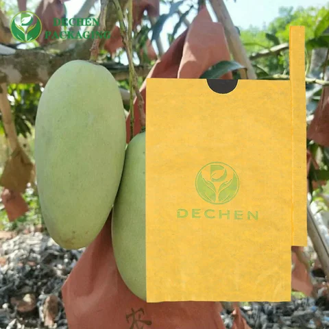 Mango Fruit Protection Bags Pricelist – Comprehensive & Competitive