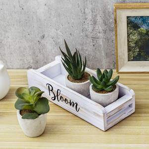 Boîte à plantes artificielles <span class=keywords><strong>en</strong></span> <span class=keywords><strong>bois</strong></span> décorative pour la maison, plateau moderne, écologique et durable pour jardin <span class=keywords><strong>de</strong></span> succulentes - Product Image 3