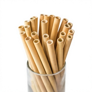 Pailles en bambou artisanales les plus vendues |   Pailles à boire en bambou naturel de haute qualité - Product Image 1
