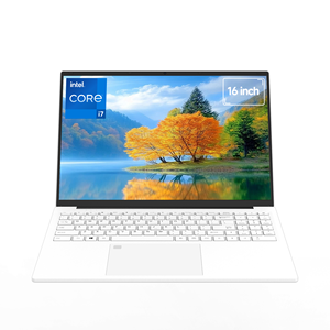 16,1-дюймовый IPS-панель с разрешением 1920*1200 Intel I7-1060NG7 4-ядерный процессор 32 ГБ памяти 1 ТБ SSD Win 11 бизнес-ноутбук - Product Image 1