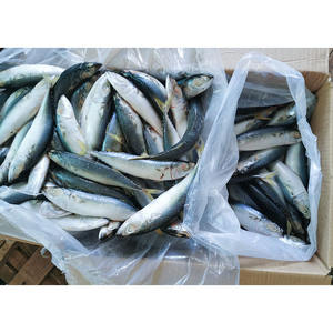 Maquereau congelé, maquereau du Pacifique, entier, rond, 200-500g, fournisseur de maquereau congelé en vrac - Product Image 2