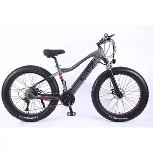 AKEZ Điện Mạnh Mẽ Xe Đạp 26 '27.5 ''29'' Fat Tire Bike 750 Wát 48V/13AH Pin EBike Thể Thao Bãi Biển Tuyết Núi Ebike