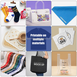 Máquina de Serigrafía Automática de un Solo Color con Cinta Transportadora y Mesa de Vacío para Impresión en Película de PVC, Papel, Plástico, Tela y Bolsas Dlo2060 High - Product Image 6