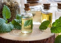 Saveur d'huile de menthe poivrée pure 100% extrait naturel distillé à la vapeur pour les boissons alimentaires et les soins bucco-dentaires