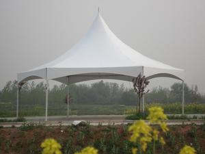 Tente chapiteau Domo Geodesico Geodome de 8 mètres de diamètre pour événements extérieurs pour café d'arrière-cour - Product Image 3