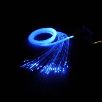 Rideau lumineux en Fiber optique de 0.75mm, cascade de Fiber optique Pmma avec Protection de veste en Pvc transparent