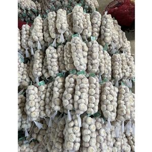 Super White Fresh Ajo y Jengibre Ail Cebolla Mayorista <span class=keywords><strong>Comprar</strong></span> Chino Fresco 6,0 cm Ajo Precio Exportadores China - Product Image 4