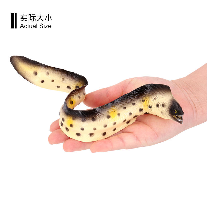 3239 Moray Eel