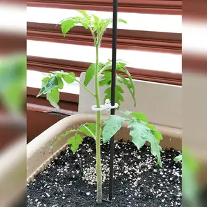 Chemlead bitki kazık yeşil bitki sopa destek fiberglas bahçe destek Stakes bitkiler için fiberglas çubuk ağacı için