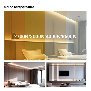 Tira de LED COB de Cobre IP68 2700K para Exteriores, Impermeable, Regulable, 5mm 8mm 10mm - Product Image 4