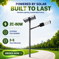 Lampe solaire de rue LED extérieure ZC-80W IP66 avec système de contrôle DALI et réglage de la luminosité à distance