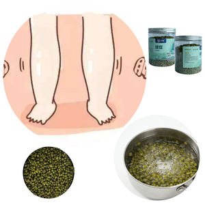 Fagioli Mung di Alta Qualità in Scatola, ISSO Naturali Essiccati, Vendita Diretta dalla Fabbrica, per Zuppe e Porridge - Product Image 1