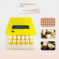 Petit ménage 36 Mini incubateur multifonction automatique 156 pièces boîtes à couver d'oeufs de poulet et de canard état neuf