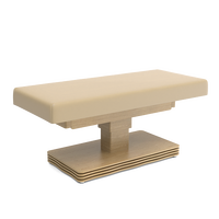 Table de soin électrique réglable à colonne unique de style moderne CNF pour tatouage, esthétique et spa, idéale pour salon, en bois