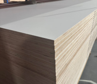 Panneau de contreplaqué mélaminé en placage de bouleau écologique 9mm/25mm 4x8, étanche, design moderne pour mobilier de bureau et bâtiment