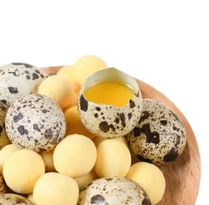 OEM Wholesale Additive-free 100% Natural Pure Meat High Nutrition Low Fat Frozen Quail Egg Yolk Cat Treats Pet Food