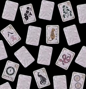 Set di 160 Tessere per Mahjong Americano in Acrilico Bianco Perla, Stile Madreperla con Motivi Floreali e Animali per Intrattenimento Domestico - Product Image 1