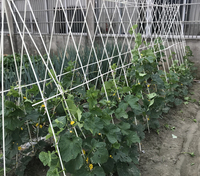Bâtons de fibre de verre réutilisables en fibre de verre FRP piquets de tomate agricole poteaux de vignoble en fibre de verre