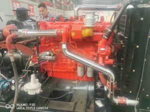 Générateur hydroélectrique de 80 kW, turbine hydraulique, centrale électrique - Product Image 6