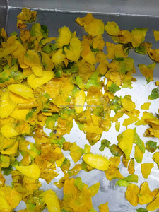 آلة تصنيع لب عصير المانجو خط إنتاج المانجو التلقائي - Product Image 5