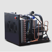 Refroidisseur de bain de glace à refroidissement unique 1HP pour la récupération musculaire dans le sport, intérieur et extérieur, silencieux et intelligent OEM