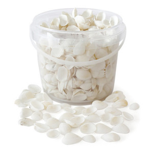 Conchiglie Marine Naturali Eco-Friendly in Materiale Organico con Campione Gratuito per Artigianato, Decorazioni per la Casa e Regali 150g - Product Image 6