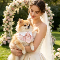 Nouveau design : Ensemble collier et bandana pour chien, style smoking, pour mariage et fête, accessoire de cosplay de luxe