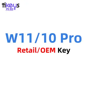 W11/10 Pro perakende OEM anahtarı