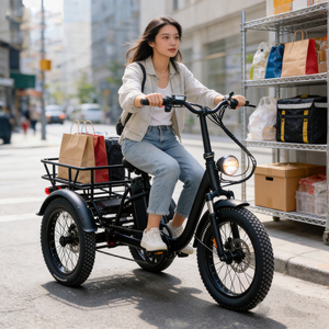 Tricycle électrique pliable à pneus larges 1000W 48V 23Ah, vélo électrique à 3 roues, mini tricycle électrique pliable pour adultes - Product Image 6