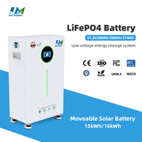 Batterie lithium-ion OEM 48V 15kWh 16kWh haute capacité LiFePO4 pour systèmes solaires, fournisseur en gros avec logo personnalisé