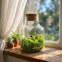 Vase en verre borosilicate de haute qualité OEM avec couvercle en liège pour plantes hydroponiques et mousse