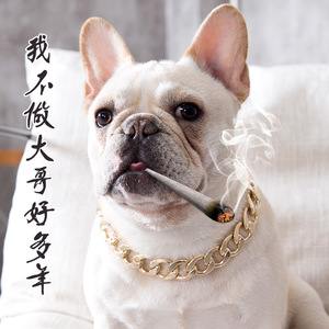 French Bulldog Gold Chain Collar Adjustable Plastic Pet <b>Necklace</b> for <b>Small</b> to Medium Dogs Summer Jewelry Accessories - Product Image 1