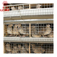 Nouveau Modèle Cage à Cailles Type H de Haute Qualité en Vente