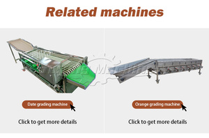 Trieuse automatique de taille de fruits et légumes Trieuse de pommes de terre Trieuse de dattes de fruits - Product Image 2