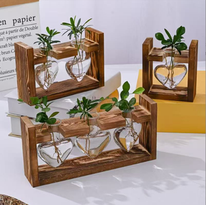 Vaso Idroponico KIKA Moderno ed Ecologico <span class=keywords><strong>in</strong></span> Vetro e <span class=keywords><strong>Legno</strong></span> Intagliato a Mano, Design Circolare, Porta Piante per Interni/Esterni, Decorazione <span class=keywords><strong>da</strong></span> Tavolo - Product Image 5