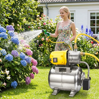 Pompe à jet d'eau domestique automatique 800W, débit élevé 3200L/h, pression de refoulement 40m, unité assemblée avec réservoir pour ferme et cour