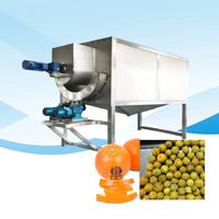 Machine d'extraction d'huile essentielle d'orange Citus à pression à froid