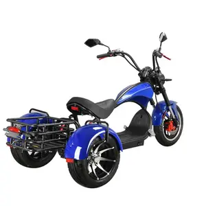 US/EU gudang sepeda motor Trike 10 inci ban gemuk COC 45km/jam 4000w Citycoco tiga roda skuter listrik citycle Coco